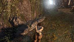 Tomb Raider 2013 6K Screen shot